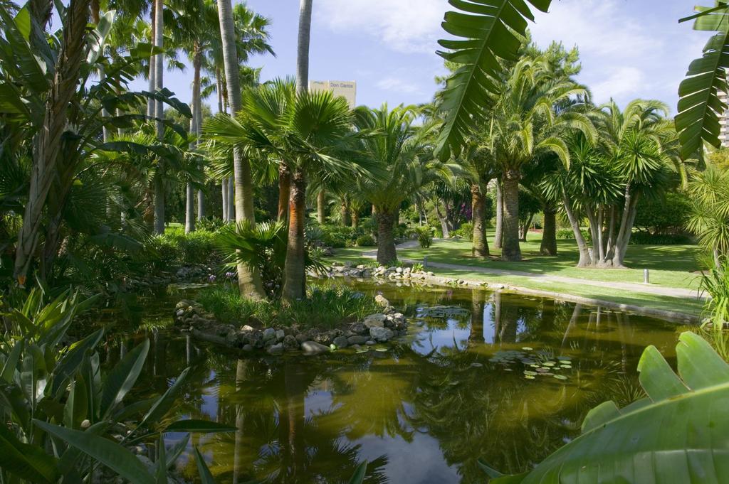 Deluxe Villas Don Carlos Resort Марбелья Экстерьер фото